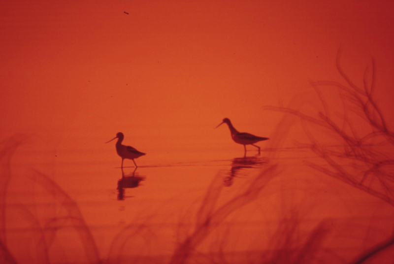 Konsten att skapa förbindelser